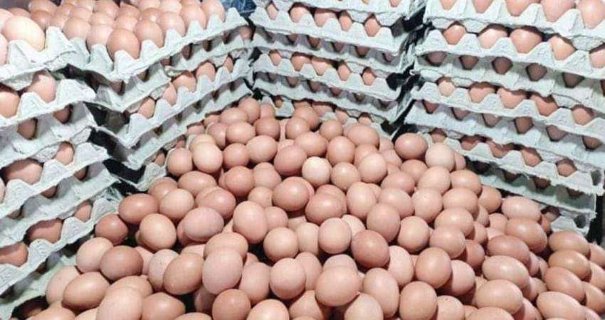 Jelang Ramadan, Harga Telur Malah Anjlok