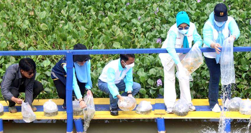 Hari Air, Bupati Sebar Bibit Ikan di Danau Limboto