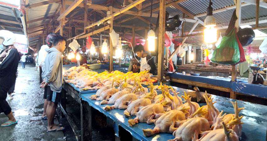 Jelang Ramadan, Harga Daging Ayam Naik