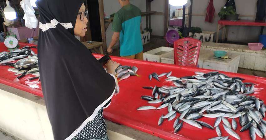 Harga Ikan Laut Terus Melambung