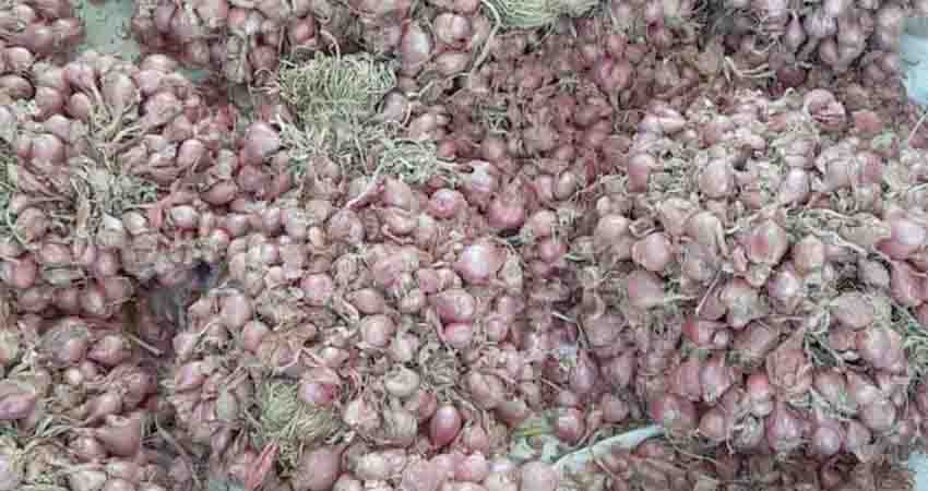 Stok Bawang Merah Minim