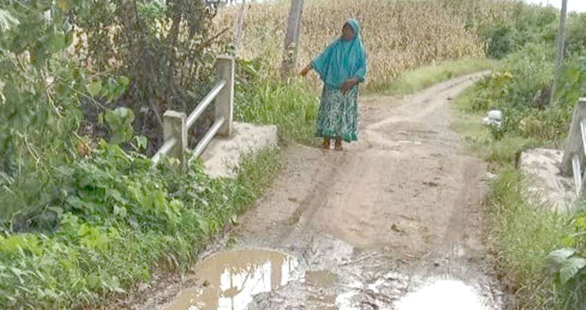 10 Tahun Jalan Tani Di Wonggarasi Tengah Tak Tersentuh