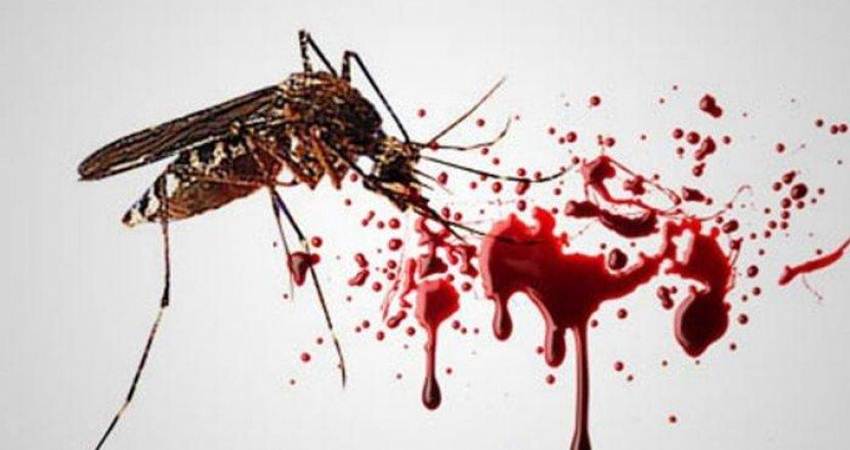 DBD Mengintai Gorontalo