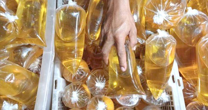 Mafia Minyak Goreng Diduga Produsen