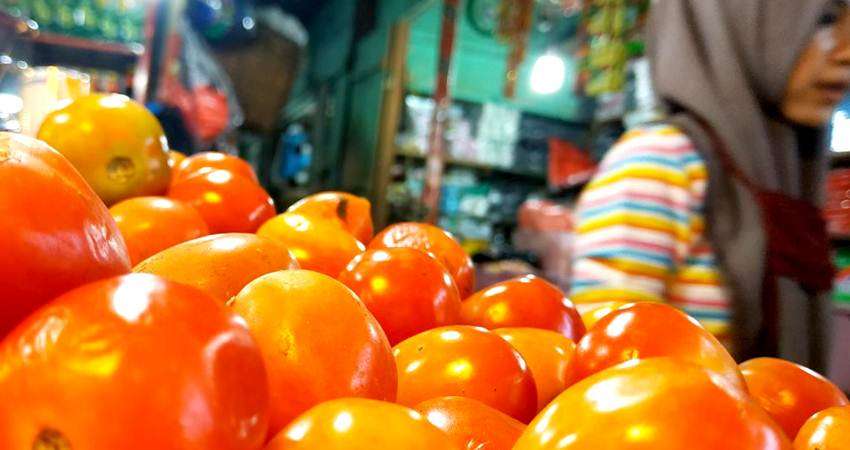 Tomat Tembus Rp20 Ribu per Kg