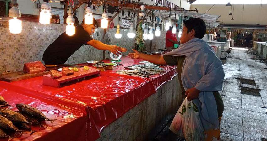 Harga Ikan Tuna Tak Kunjung Turun