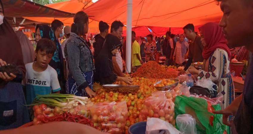 Harga Tomat Masih Mahal