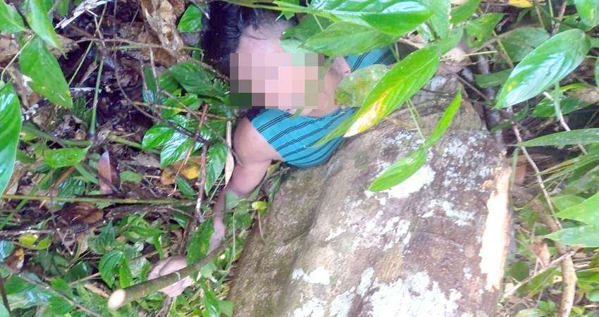 Tukang Sensor di Pohuwato Meninggal Tertimpa Pohon