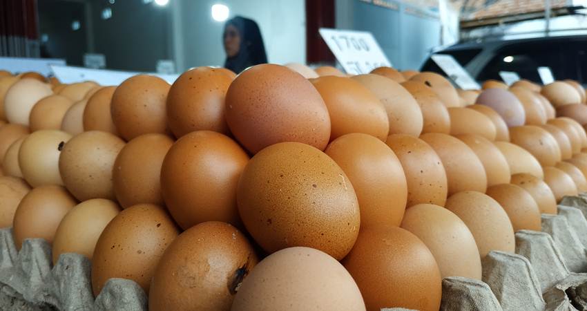 Permintaan Masih Tinggi, Harga Telur Tak Kunjung Turun