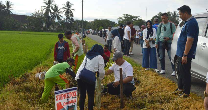 Hamim Boyong 223 PPPK Hijaukan Bonebol, Aksi Tanam Pohon di Sepanjang Akses ke RS Toto Kabila