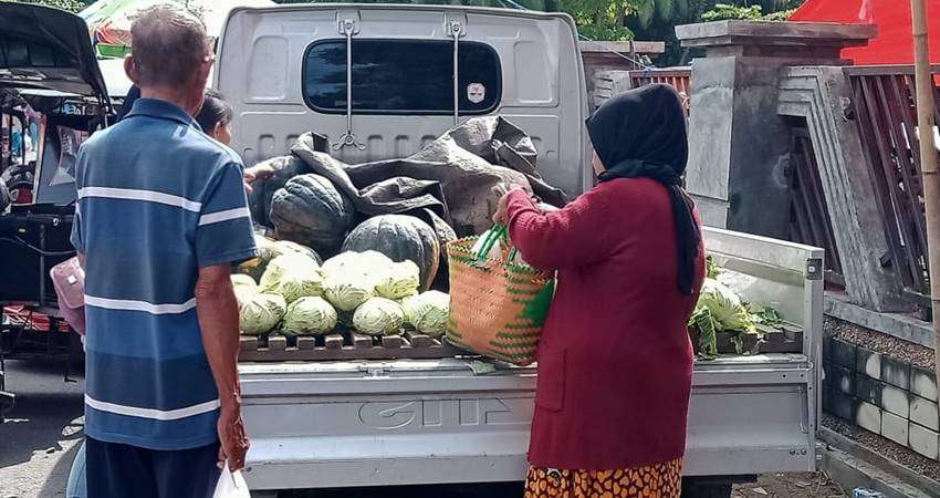 Makin Mahal, Sayur Kol Capai Rp25 Ribu per Buah