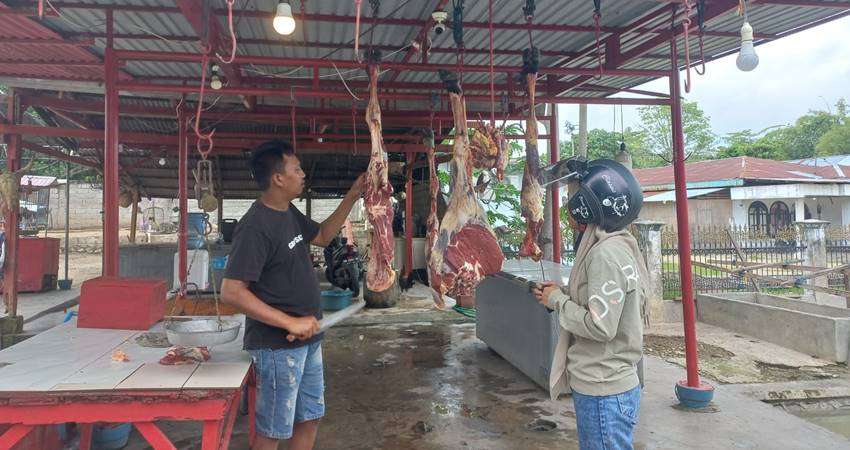 Jelang Idul Adha, Harga Daging Sapi Meroket, Pedagang Klaim Akibat Sapi Semakin Mahal