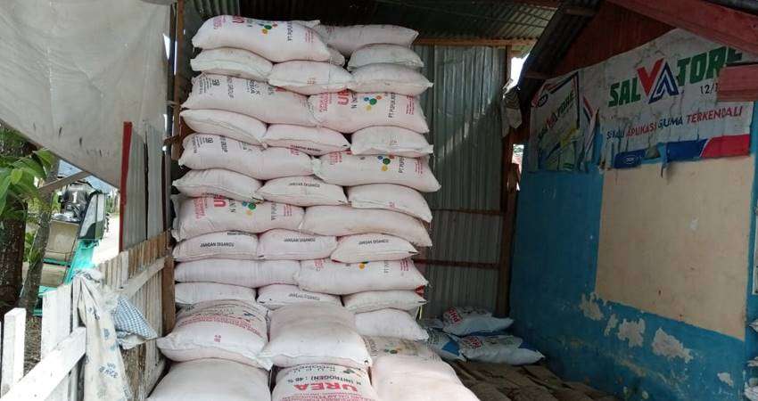 Harga Pupuk Nonsubsidi Naik Hampir 100 Persen, Jenis Phonska Malah Sulit Diperoleh di Pasaran