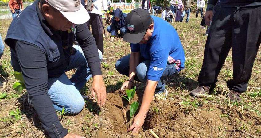 Hamim Tanam 5.000 Pohon Aren