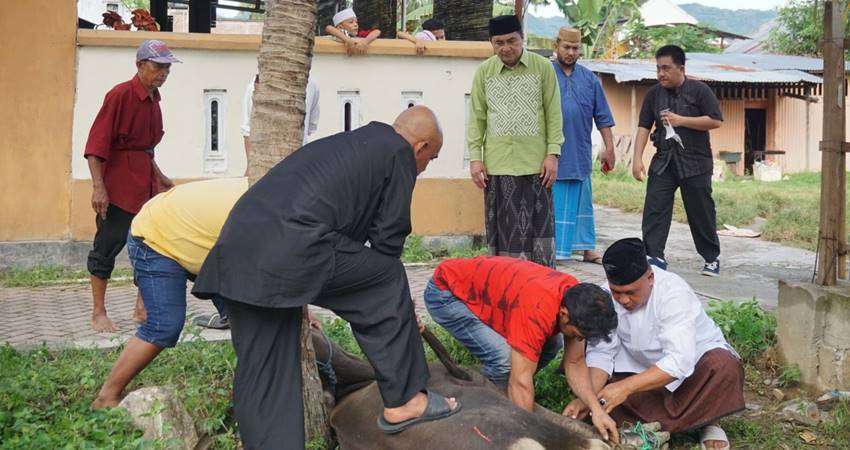 Berkurban untuk Tumbuhkan Jiwa Sosial, Hardi Sidiki Bagikan Hewan Kurban ke Masyarakat