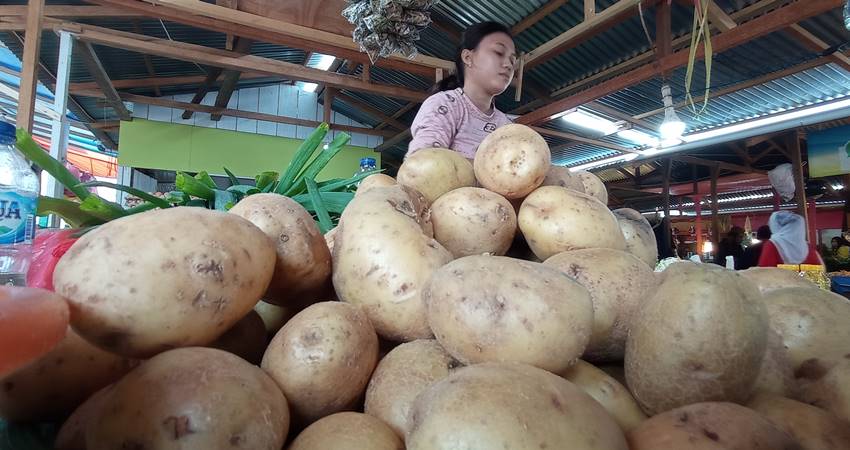 Kentang Tembus Rp20 Ribu per Kg, Normalnya Rp10 Ribu, Pedagang Klaim Stok Kurang