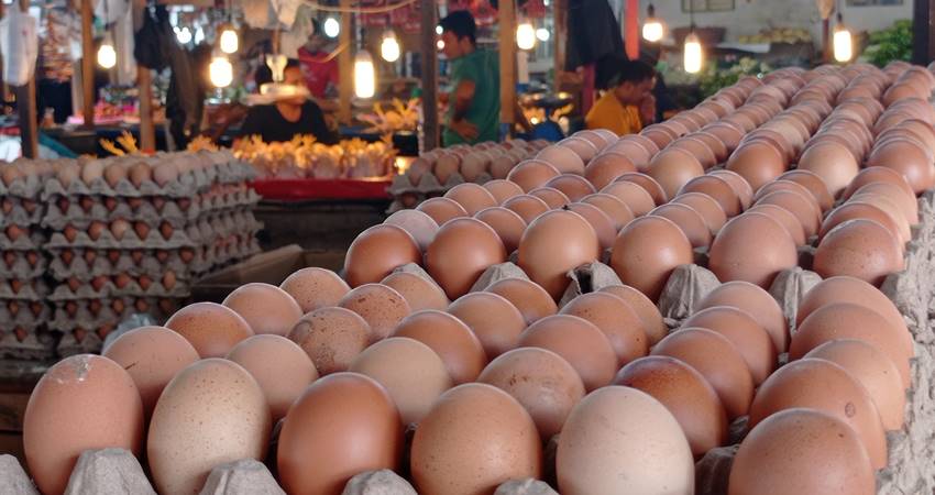 Harga Telur Ayam Stabil, Pedagang Klaim Stok Melimpah
