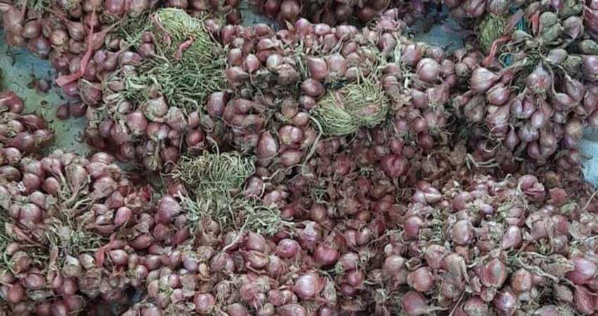 Stok Bawang Merah Minim, Pedagang Banderol hingga Rp70 Ribu per Kg