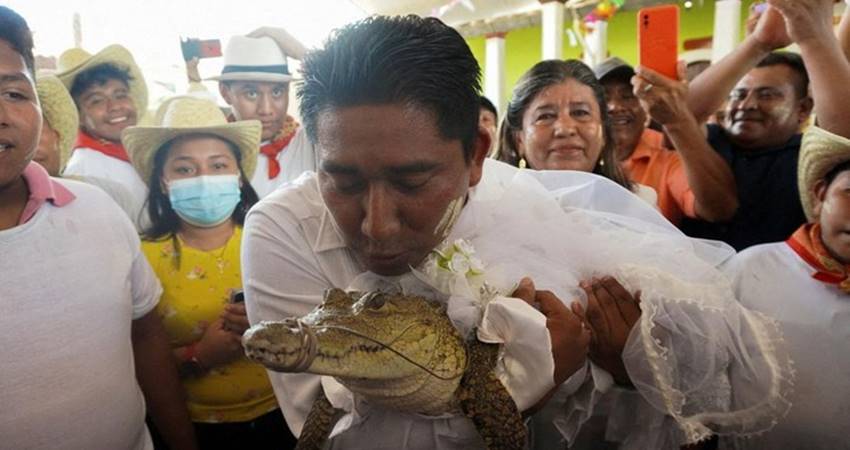 Viral, Walikota Nikahi Buaya