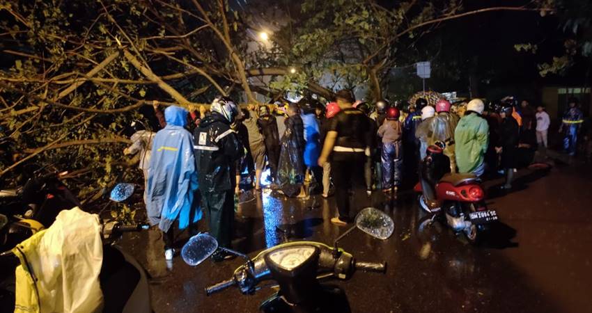 Pemda Tak Respon Surat Kades, Bocah Tewas Tertimpa Pohon Tumbang