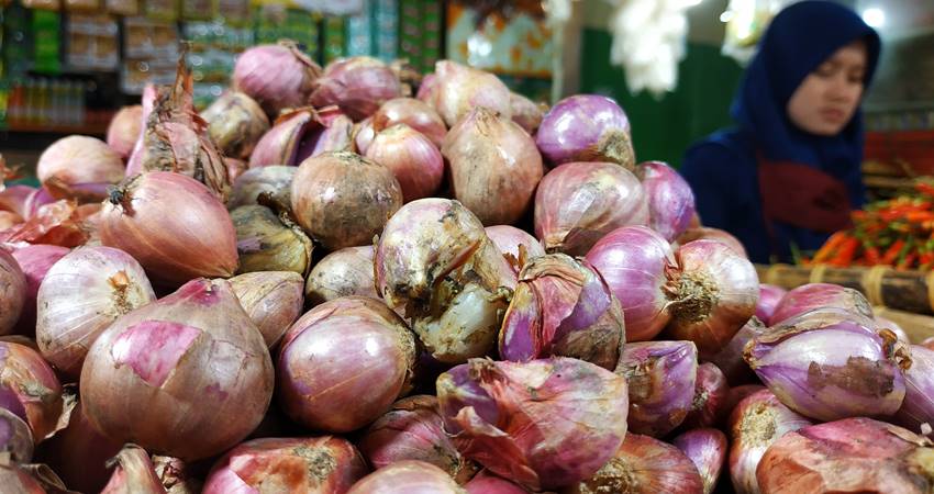 Bawang Merah Capai Rp90 Ribu per Kg