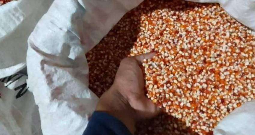 Jagung di Pasar Tembus Rp10 Ribu per Liter, Pedagang Klaim Permintaan Tinggi