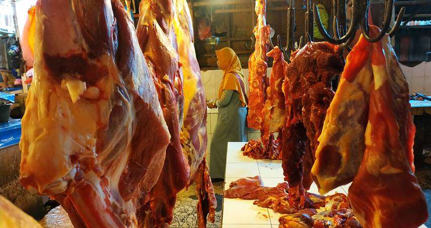 Harga Daging Sapi Tak Terkendali, Di Gorontalo masih Rp140 Ribu per Kg