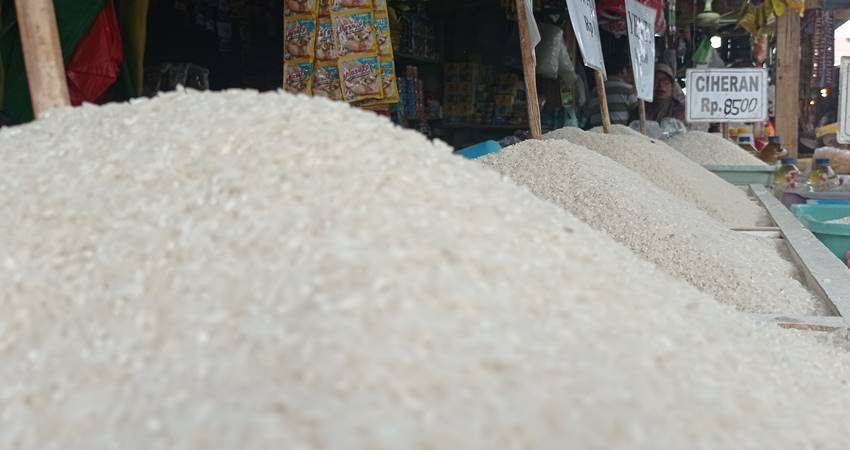 Beras Baru di Gorontalo Mulai Rp8 Ribu, Pedagang Klaim Stok Melimpah