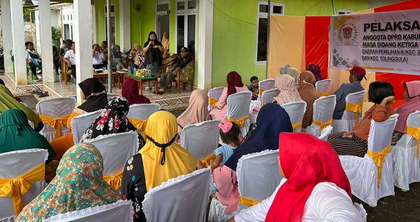 Bantuan Bibit Jagung Dikeluhkan, Kwalitas Bibitnya Tidak Bagus, Jangan Menyulitkan Masyarakat