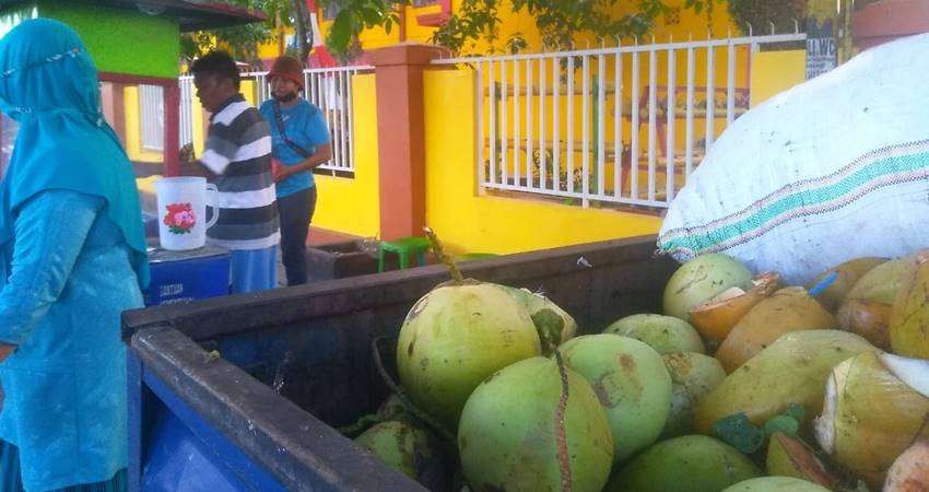 Pedagang Kelapa Muda Menjamur, Omzet Menggiurkan