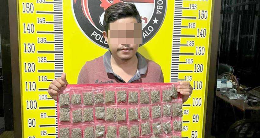 62 Paket Ganja Siap Edar Berhasil Disita, Dikirim Dari Medan, Bakal Diperjualbelikan di Gorontalo
