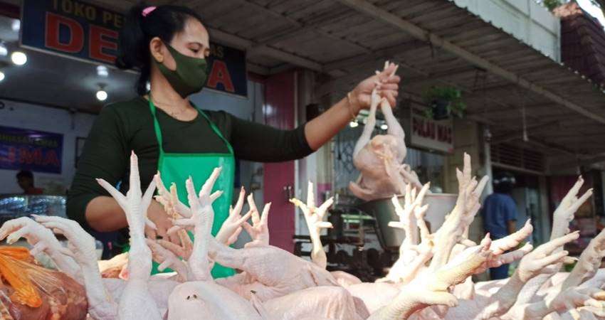 Harga Ayam Potong Anjlok, Mulai Rp18 Ribu per Kg