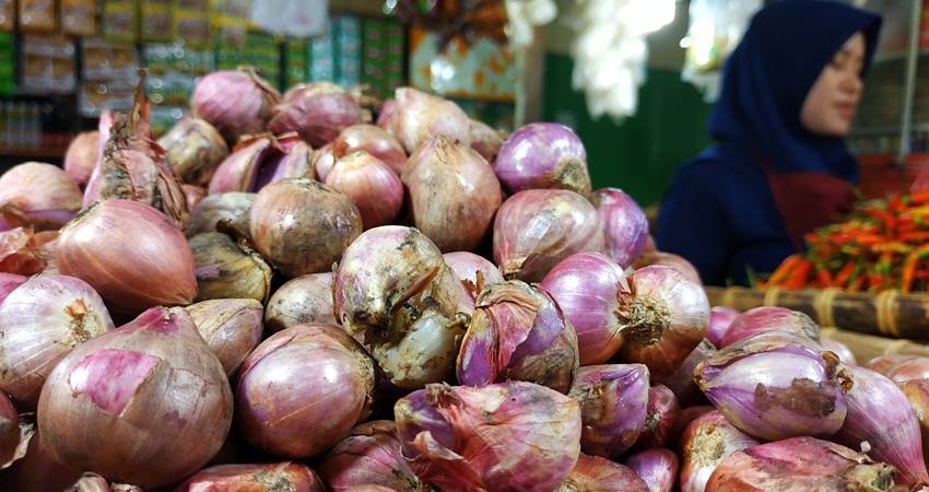 Harga Bawang Merah Turun, Kini Rp40 Ribu per Kg