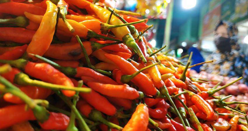 Di Tingkat Petani Rica Rp45 Ribu per Kg