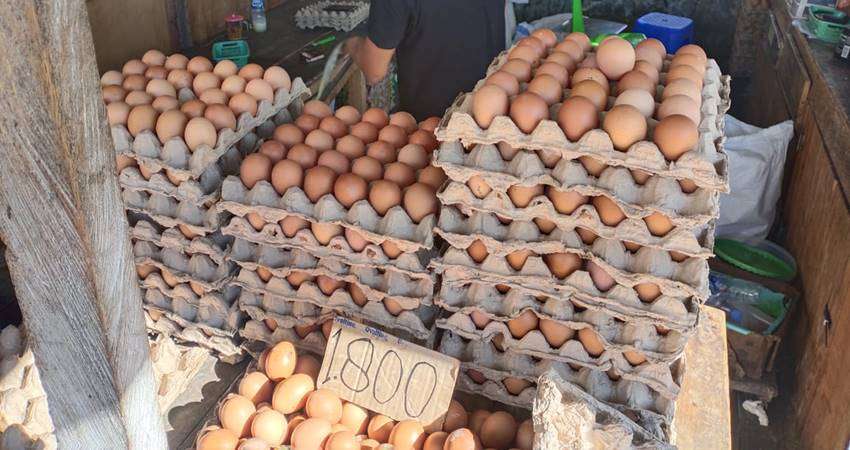 Harga Telur Meroket, Paling Murah Rp54 Ribu per Bak
