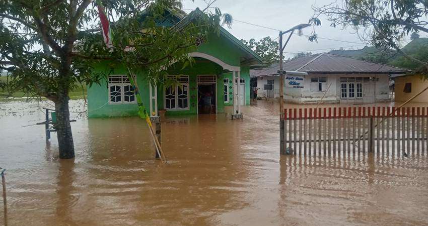 Hamka Minta Bupati/Walikota Proaktif