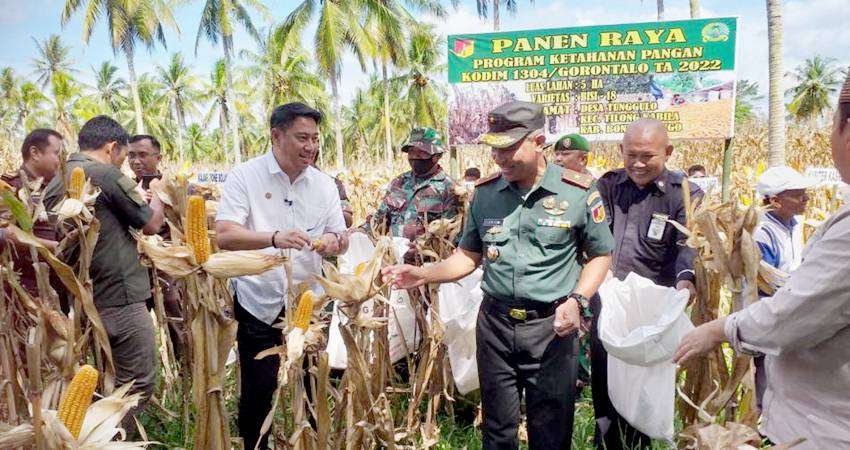 Hamim Salut Hasil Panen Raya Jagung, Kutub Baru Pertumbuhan Bone Bolango