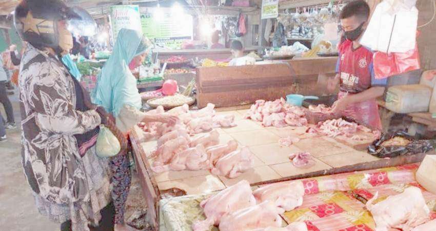 Harga Ayam Potong Anjlok, Ukuran 3 Kg Dijual Rp65 Ribu per Ekor