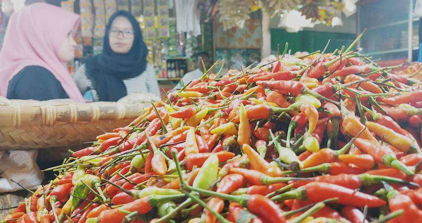 Kembali Naik, Rica Rp60 Ribu per Kg