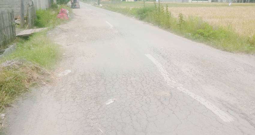 Jalan Taman Anggrek Banyak Lubang