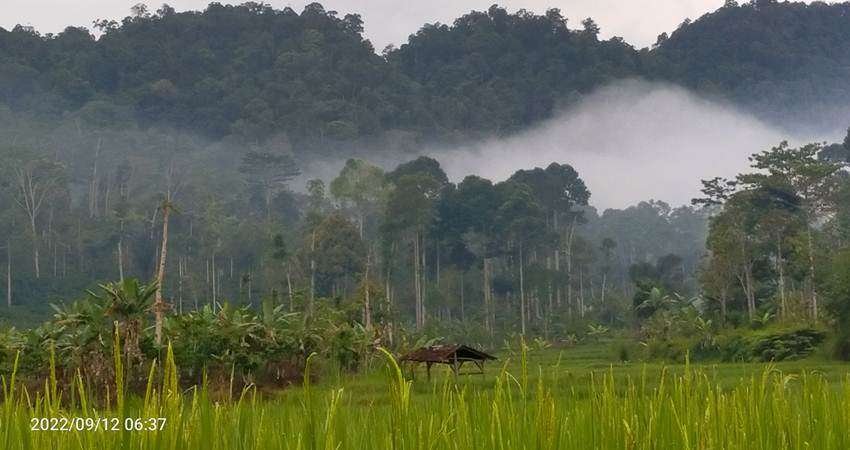 Update BMKG Lampung, 11 Wilayah Diprediksi Hujan Lebat Disertai Angin Kencang