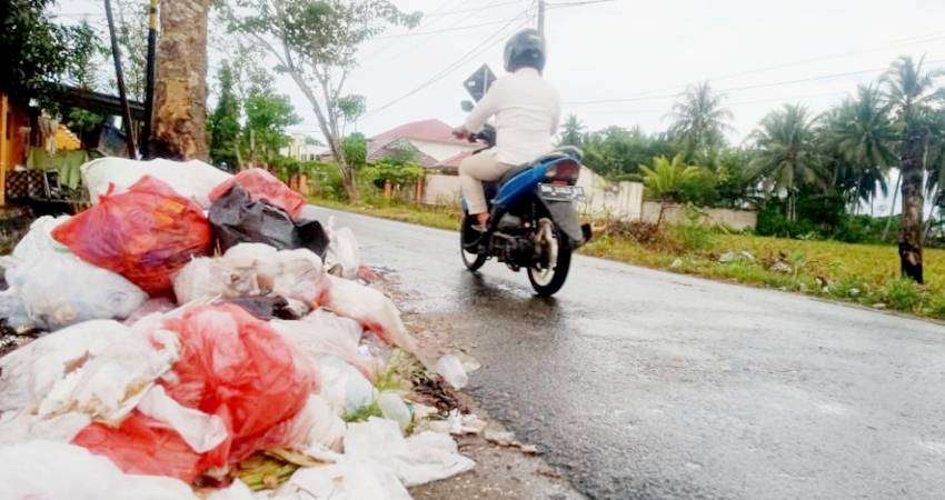 Tumpukan Sampah Membusuk di Tepi Jalan