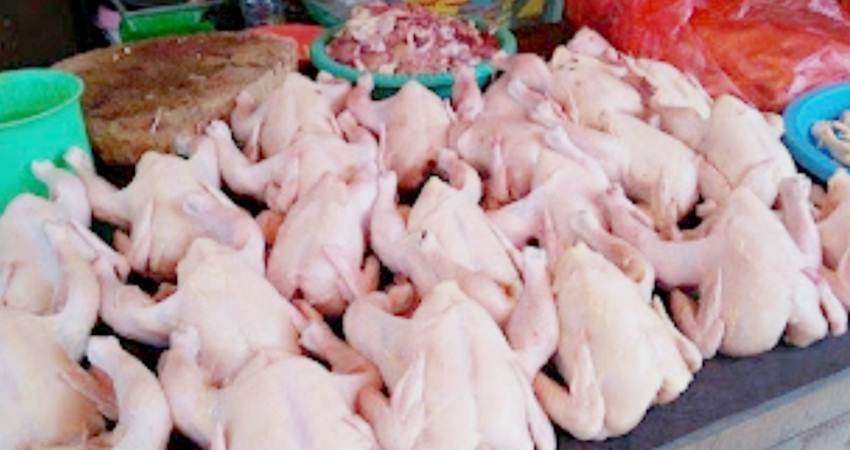 Harga Ayam Potong Belum Stabil, Ukuran Jumbo Dijual Rp65 Ribu per Ekor