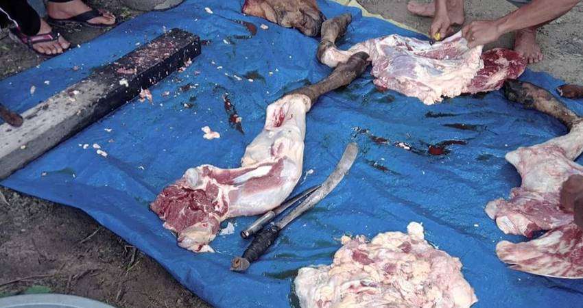 Daging Sapi Masih Rp140 Ribu per Kg