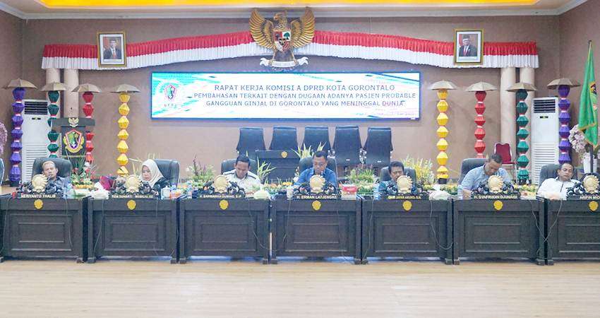 Komisi A Minta Dinkes Kota Harus Waspada, Utamakan Pencegahan Gagal Ginjal Akut