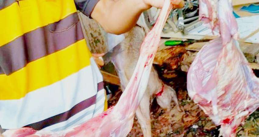 Daging Kambing Mulai Banyak Peminat, Per Kg Capai Rp130 Ribu
