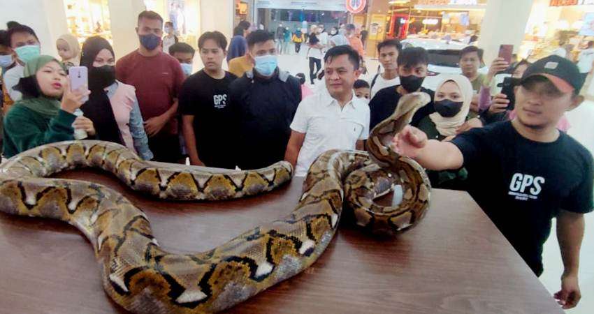 Puluhan Satwa Hiasi Atrium Mall Gorontalo