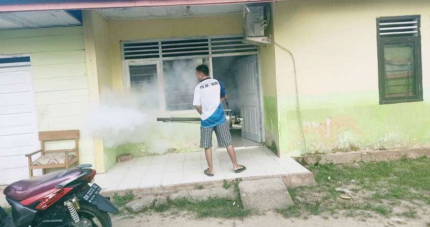 Waspada, DBD Mulai Mengintai, Lakukan Pencegahan, Dikes Pohuwato Maksimalkan Fogging