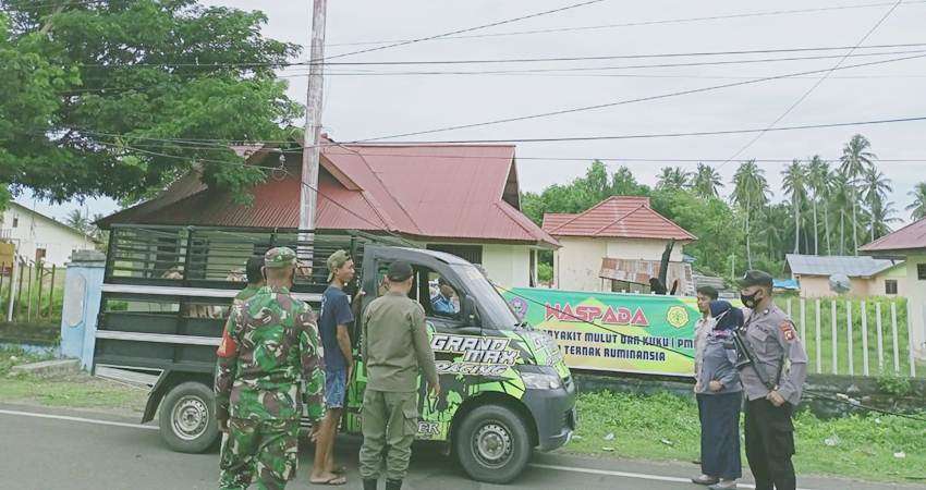 Muat Hewan Ternak, Harus Miliki Izin