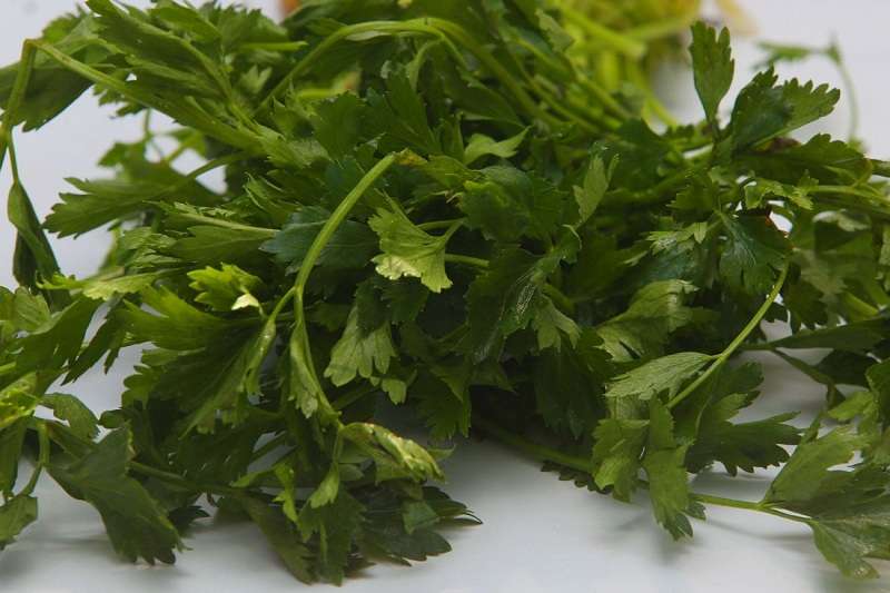 4 Manfaat Air Rebusan Daun Seledri yang Luar Biasa, Bagus Untuk Kecantikan dan Kesehatan